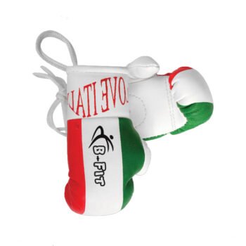 Boxing Gloves Key Rings
